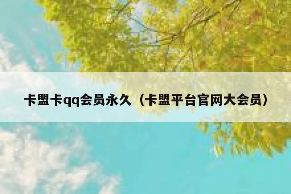 卡盟卡qq会员永久（卡盟平台官网大会员） 第1张