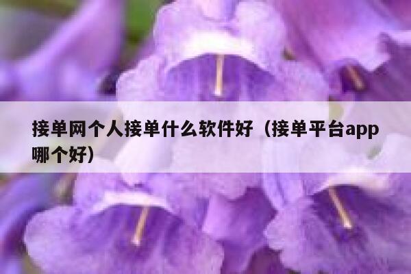 接单网个人接单什么软件好（接单平台app哪个好） 第1张