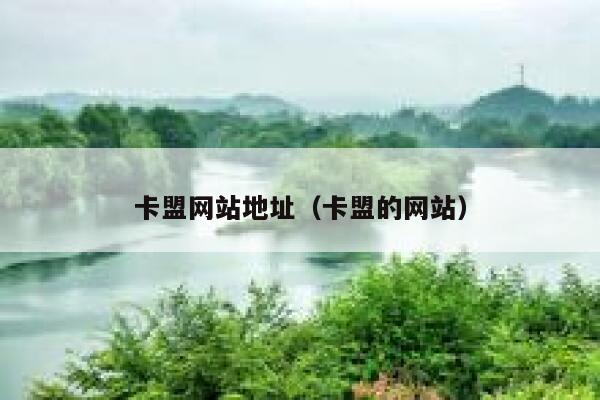 卡盟网站地址（卡盟的网站） 第1张