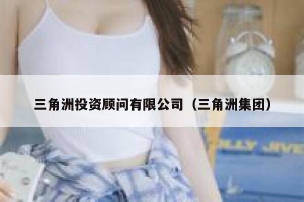 三角洲投资顾问有限公司（三角洲集团） 第1张