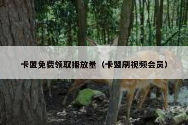 卡盟免费领取播放量（卡盟刷视频会员） 第1张