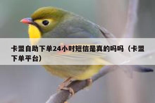 卡盟自助下单24小时短信是真的吗吗（卡盟下单平台） 第1张