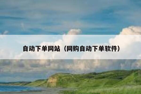 自动下单网站（网购自动下单软件） 第1张