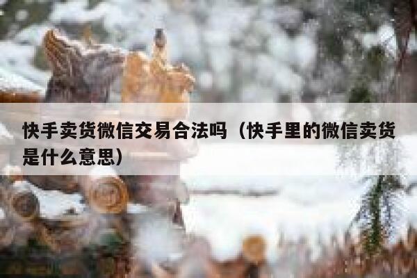 快手卖货微信交易合法吗（快手里的微信卖货是什么意思） 第1张