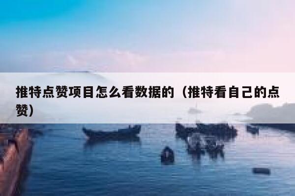 推特点赞项目怎么看数据的（推特看自己的点赞） 第1张