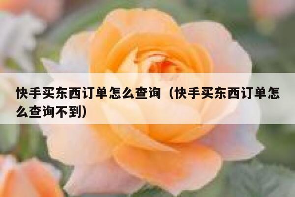 快手买东西订单怎么查询（快手买东西订单怎么查询不到） 第1张
