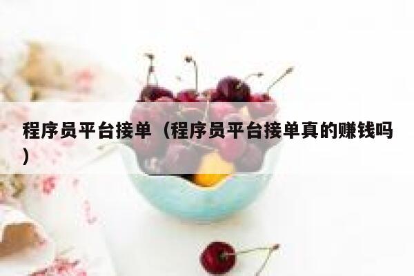程序员平台接单（程序员平台接单真的赚钱吗） 第1张