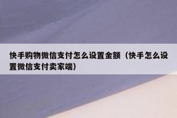 快手购物微信支付怎么设置金额（快手怎么设置微信支付卖家端） 第1张