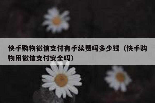 快手购物微信支付有手续费吗多少钱（快手购物用微信支付安全吗） 第1张