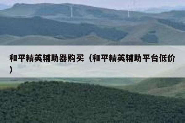 和平精英辅助器购买（和平精英辅助平台低价） 第1张