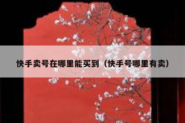快手卖号在哪里能买到（快手号哪里有卖） 第1张