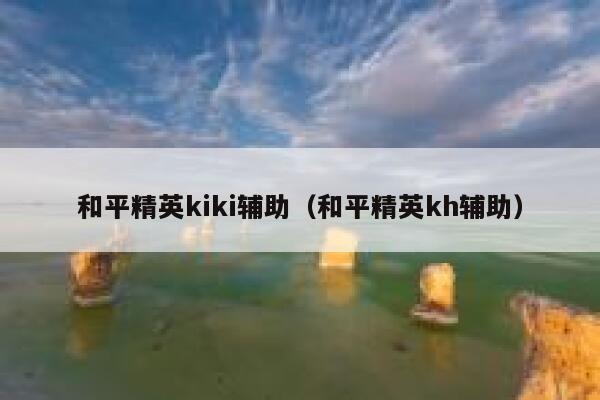 和平精英kiki辅助（和平精英kh辅助） 第1张