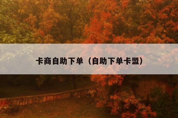 卡商自助下单（自助下单卡盟） 第1张