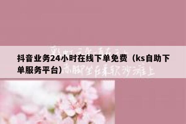 抖音业务24小时在线下单免费（ks自助下单服务平台） 第1张