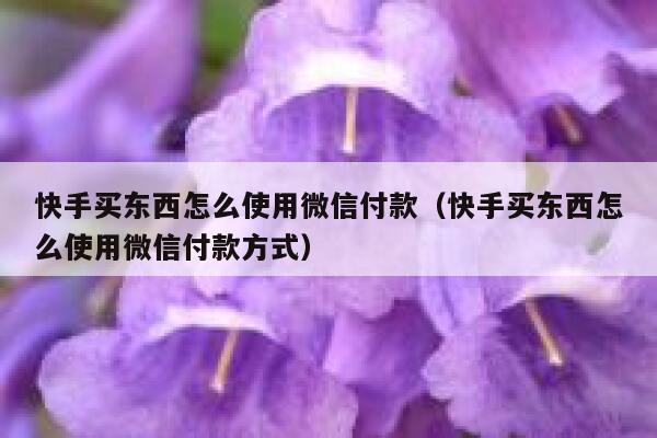 快手买东西怎么使用微信付款（快手买东西怎么使用微信付款方式） 第1张