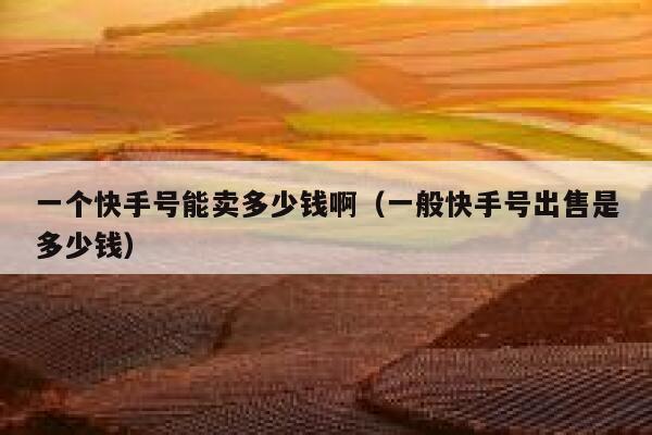一个快手号能卖多少钱啊（一般快手号出售是多少钱） 第1张