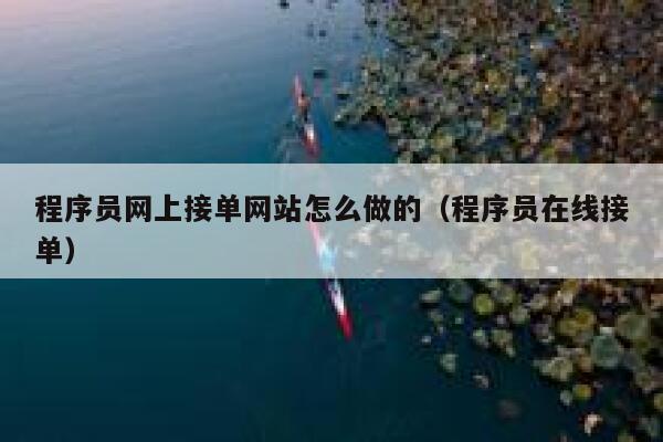 程序员网上接单网站怎么做的（程序员在线接单） 第1张
