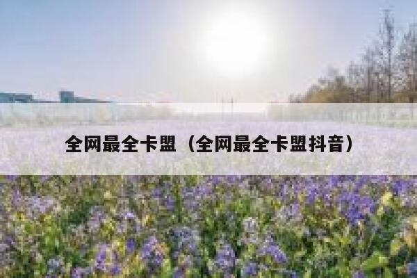 全网最全卡盟（全网最全卡盟抖音） 第1张