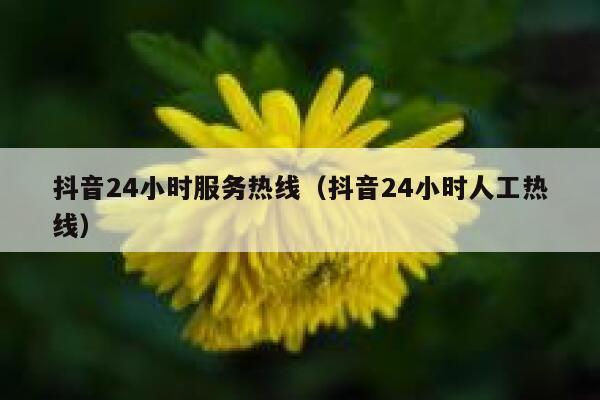 抖音24小时服务热线（抖音24小时人工热线） 第1张