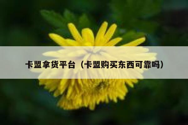 卡盟拿货平台（卡盟购买东西可靠吗） 第1张
