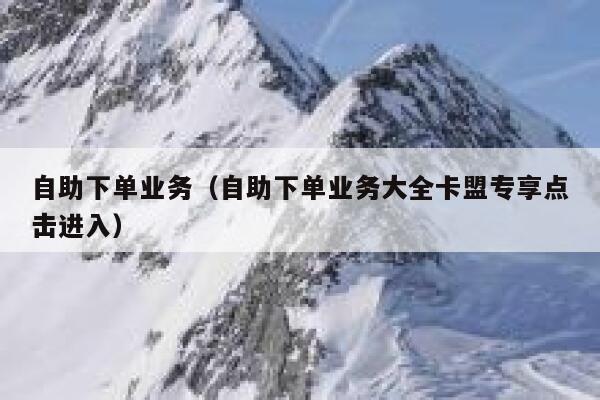 自助下单业务（自助下单业务大全卡盟专享点击进入） 第1张
