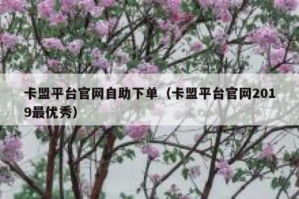 卡盟平台官网自助下单（卡盟平台官网2019最优秀） 第1张