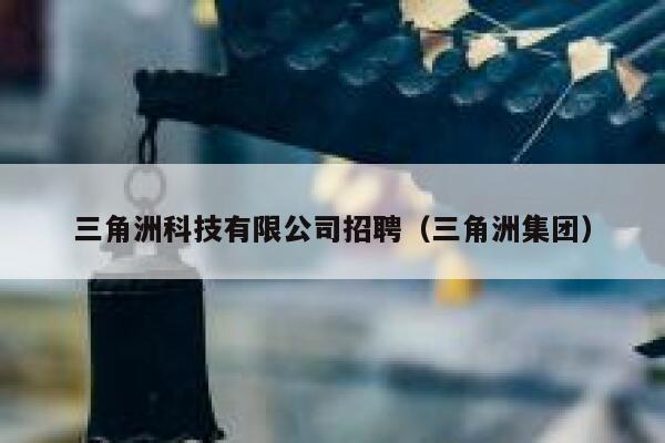 三角洲科技有限公司招聘（三角洲集团） 第1张