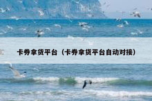 卡券拿货平台（卡券拿货平台自动对接） 第1张