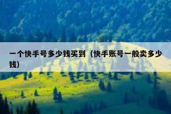 一个快手号多少钱买到（快手账号一般卖多少钱） 第1张
