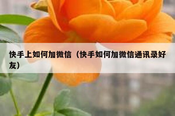 快手上如何加微信（快手如何加微信通讯录好友） 第1张