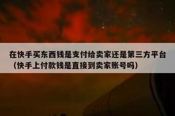 在快手买东西钱是支付给卖家还是第三方平台（快手上付款钱是直接到卖家账号吗） 第1张