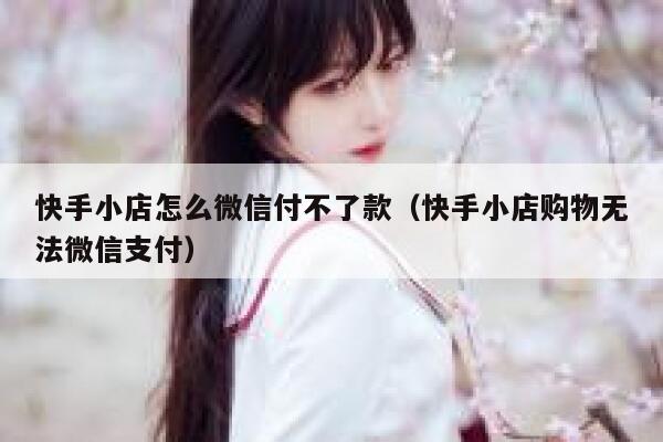 快手小店怎么微信付不了款（快手小店购物无法微信支付） 第1张