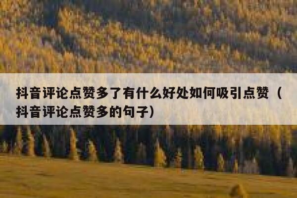 抖音评论点赞多了有什么好处如何吸引点赞（抖音评论点赞多的句子） 第1张