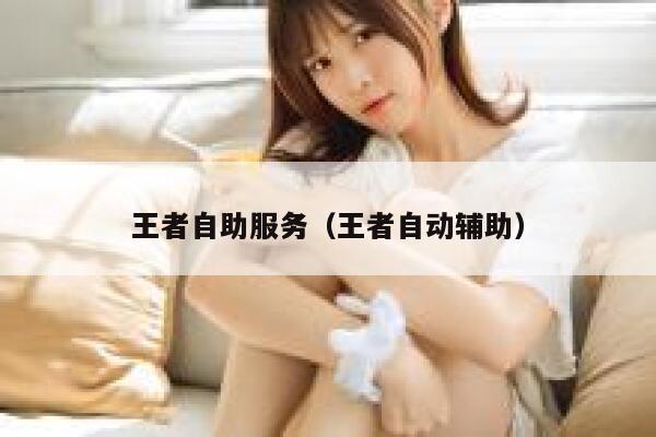 王者自助服务（王者自动辅助） 第1张