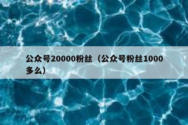 公众号20000粉丝（公众号粉丝1000多么） 第1张