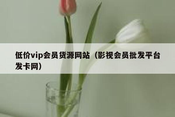 低价vip会员货源网站（影视会员批发平台发卡网） 第1张