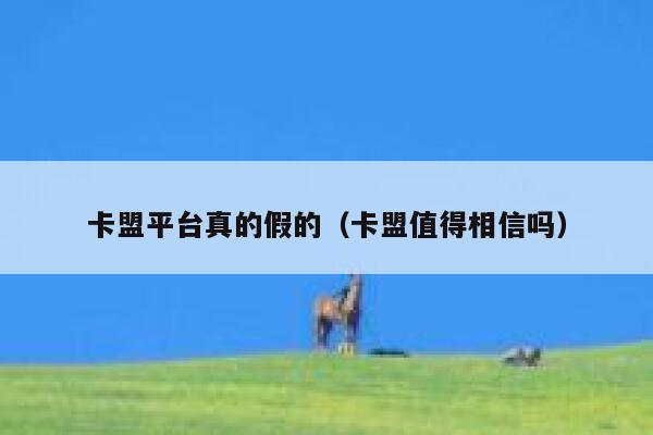 卡盟平台真的假的（卡盟值得相信吗） 第1张