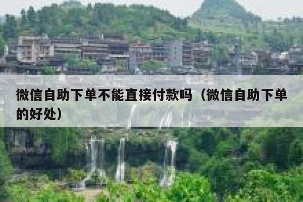 微信自助下单不能直接付款吗（微信自助下单的好处） 第1张