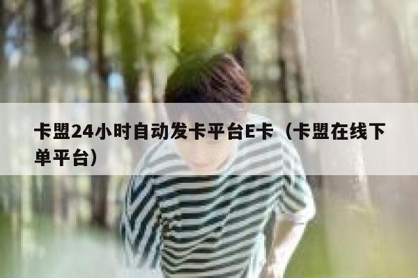 卡盟24小时自动发卡平台E卡（卡盟在线下单平台） 第1张