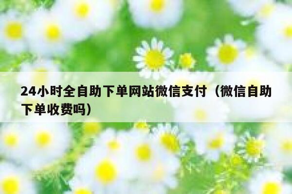 24小时全自助下单网站微信支付（微信自助下单收费吗） 第1张