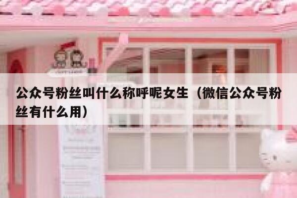 公众号粉丝叫什么称呼呢女生（微信公众号粉丝有什么用） 第1张