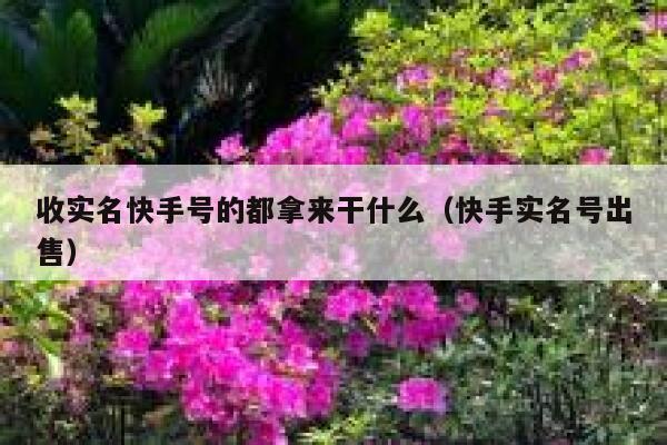 收实名快手号的都拿来干什么（快手实名号出售） 第1张