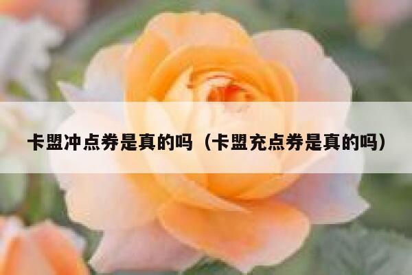 卡盟冲点券是真的吗（卡盟充点券是真的吗） 第1张