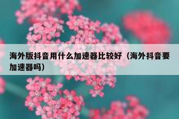 海外版抖音用什么加速器比较好（海外抖音要加速器吗） 第1张