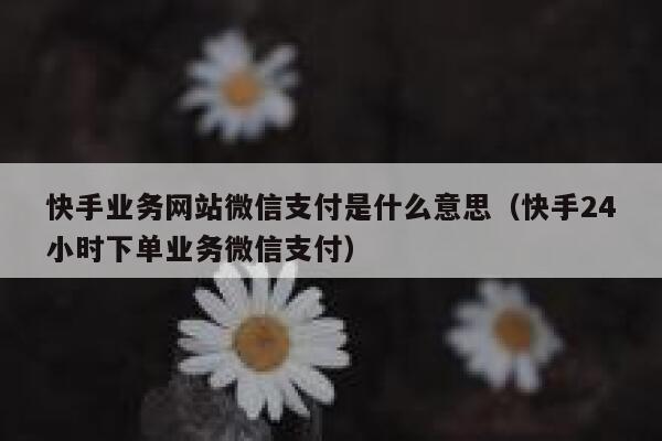 快手业务网站微信支付是什么意思（快手24小时下单业务微信支付） 第1张