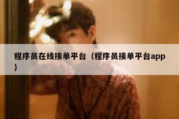 程序员在线接单平台（程序员接单平台app） 第1张