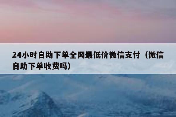 24小时自助下单全网最低价微信支付（微信自助下单收费吗） 第1张