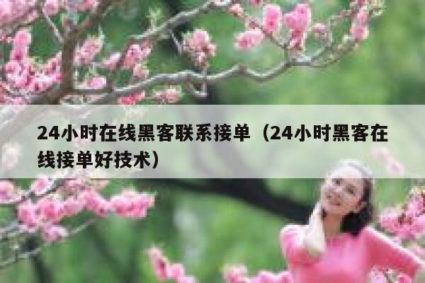 24小时在线黑客联系接单（24小时黑客在线接单好技术） 第1张