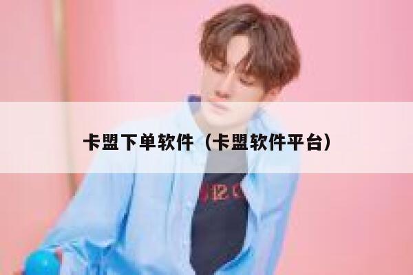 卡盟下单软件（卡盟软件平台） 第1张
