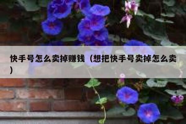 快手号怎么卖掉赚钱（想把快手号卖掉怎么卖） 第1张